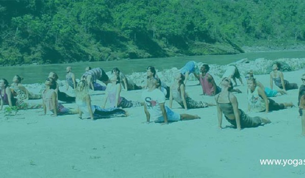 Multistyle Yoga School in Rishikesh